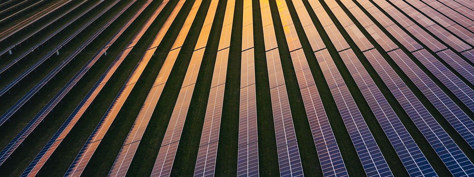 US renewables M&A: A cautious road to recovery?