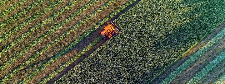 Agricultural farm view from above