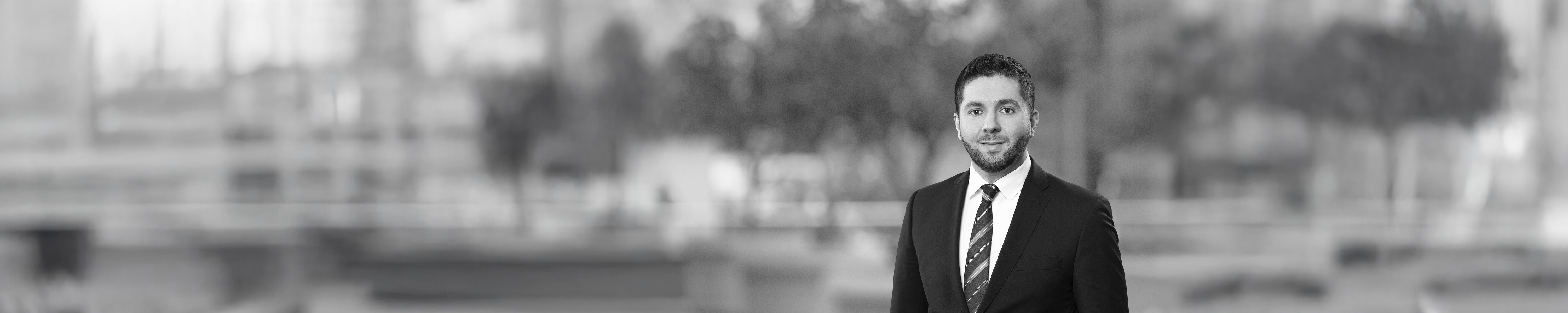 Dr. Carsten Schreiner